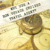 Why use a Bon Voyage Cruises Travel Professional